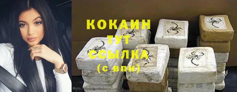 Cocaine FishScale  цены   Старица 